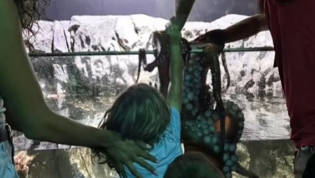 ενυδρείο Τέξας