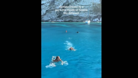 Αγριογούρουνο στην Ιθάκη