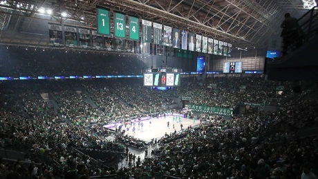 Γήπεδο ΟΑΚΑ