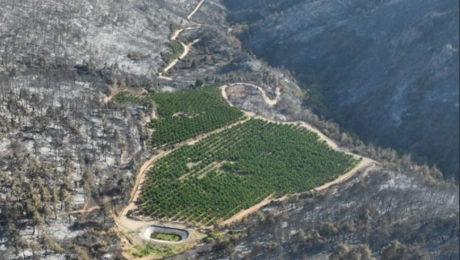 Φωτιές στην Τουρκία