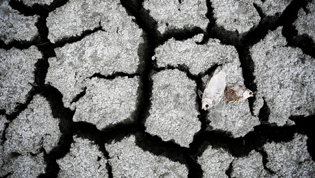 Ξηρασία στην Ελλάδα