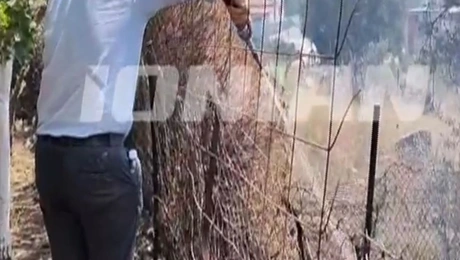 Ζάκυνθος δήμαρχος