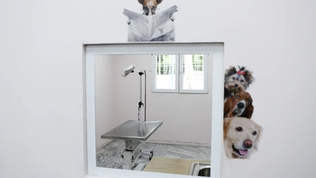 Κτηνιατρείο