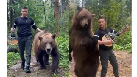 Ο μπουζουκτσής με την αρκούδα