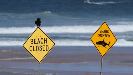 Επίθεση καρχαρία στην Αυστραλία