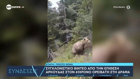 Επίθεση αρκούδας στη Δράμα