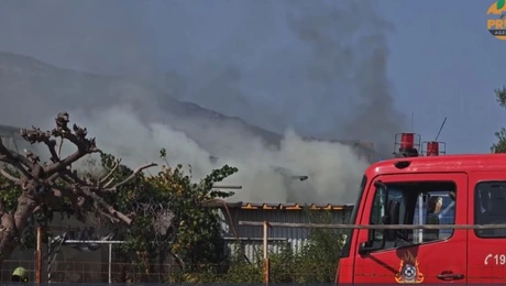 Φωτιά - Μενίδι