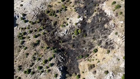 φωτιά Πάρνηθα