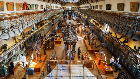 Μουσείο φυσικής ιστορίας στο Παρίσι