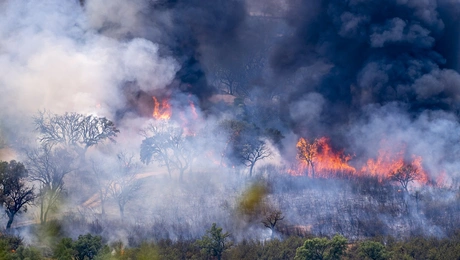 Πυρκαγιά στην Ισπανία