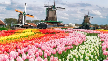 ολλανδια-χωριο