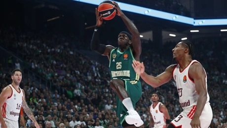 Παναθηναϊκός μπάσκετ