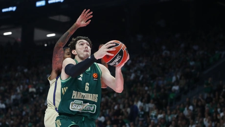 Παναθηναϊκός μπάσκετ