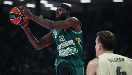 Παναθηναϊκός μπάσκετ