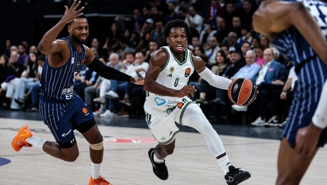 Παναθηναϊκός μπάσκετ