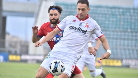 Πανσερραϊκός