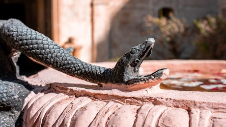 Άγαλμα φιδιού