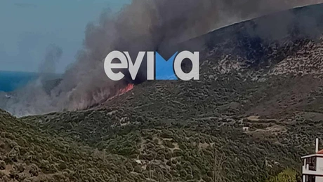 φωτιά Εύβοια