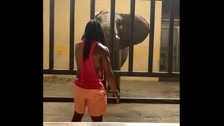 Στιγμιότυπο από το βίντεο