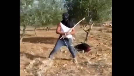 ισραήλ-έποικοι-επιθεση