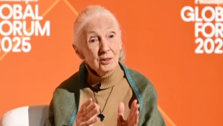 Τζειν Γκούνταλ 