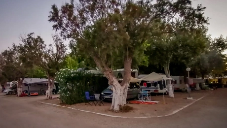 καμπινγκ-φοινικούντα