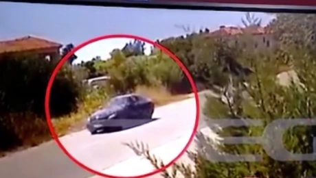 φοινικούντα βίντεο