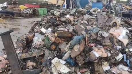 ζωικά-απορρίμματα 