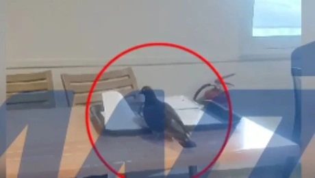 Νοσοκομείο Ρίου