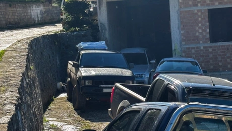 4χρονος θείος