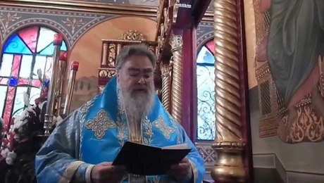 Mitropolitis Dodonis