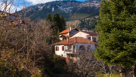 αγόριανη φωκιδα