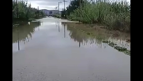 αγρίνιο-πλημμύρα