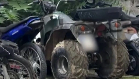 Αχαΐα γουρούνα