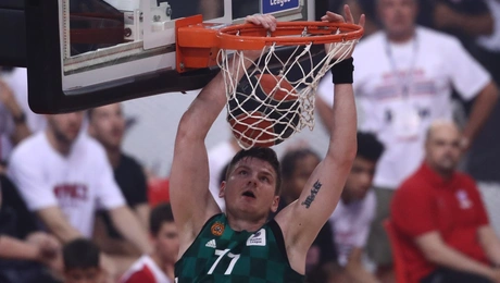 Γκουνταιτις μεταγραφή παοκ