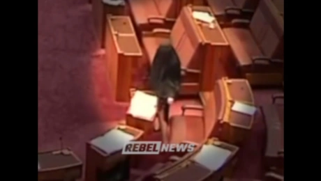 Αυστραλία-γερουσιαστής-μπούρκα