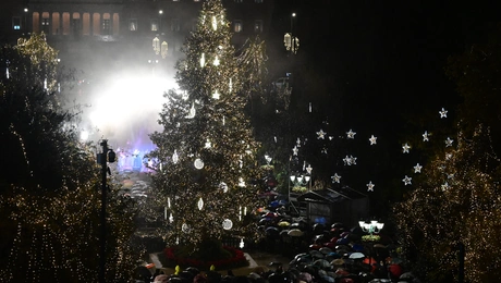 Χριστουγεννιάτικο δέντρο στο Σύνταγμα