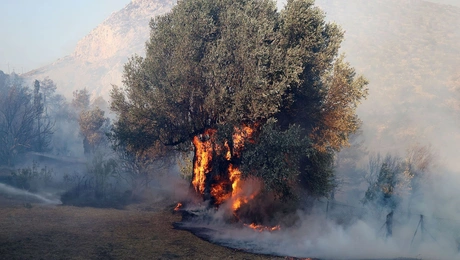 φωτιά Κερατέα