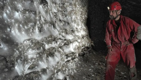 ιστός αράχνης