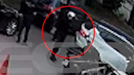 Ξυλοδαρμός στον Νέο Κόσμο