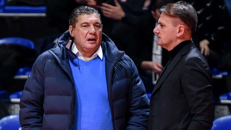 Μίσκο Ραζνιάτοβιτς