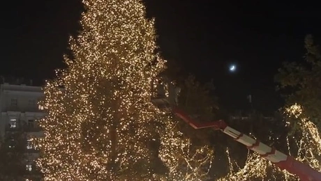 χριστουγεννιάτικο δέντρο