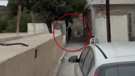 Το επίμαχο βίντεο που εξασφάλισε η ΕΛΑΣ