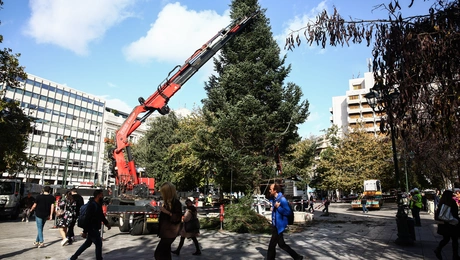 χριστουγεννιάτικο δέντρο Αθήνα