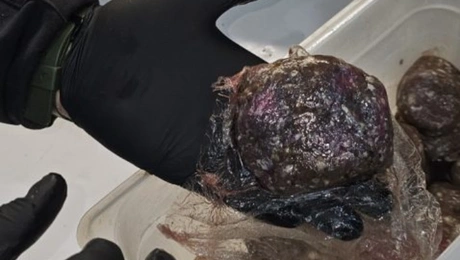 Κατασχέθηκαν σάπια τρόφιμα από την Περιφέρεια