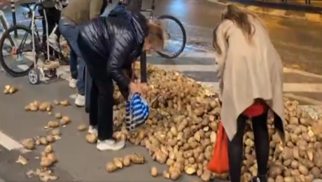 αγρότες πατάτες Βρυξέλλες