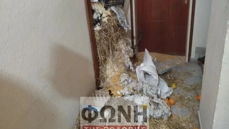 αγρότες Στυλιανίδης