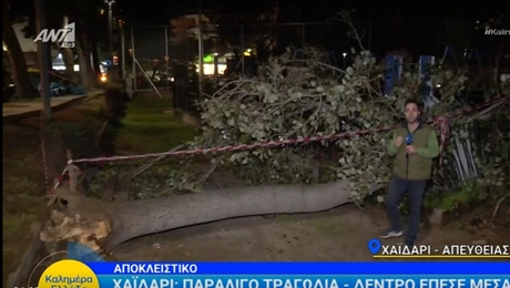 πτώση-δεντρο-παιδικη-χαρα-χαιδαρι