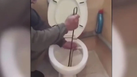 Φίδι σε λεκάνη τουαλέτας