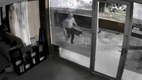 Ο άγνωστος που απαγάγει γάτες